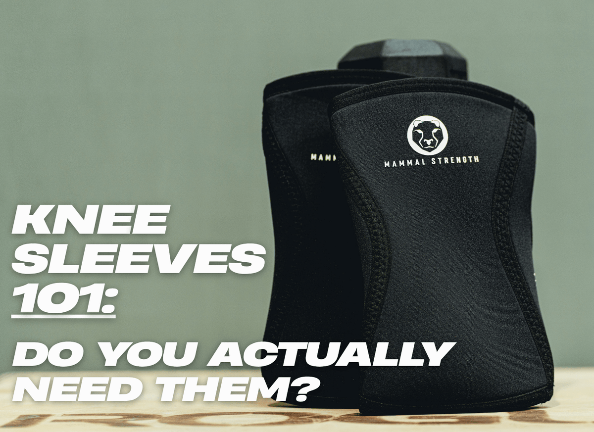 Knee Sleeves 101: Do You Actually Need Them? - Mammal Strength 