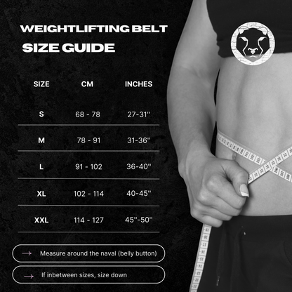 Mammal Strength "5 Neoprene Weightlifting Belt - Mammal Strength