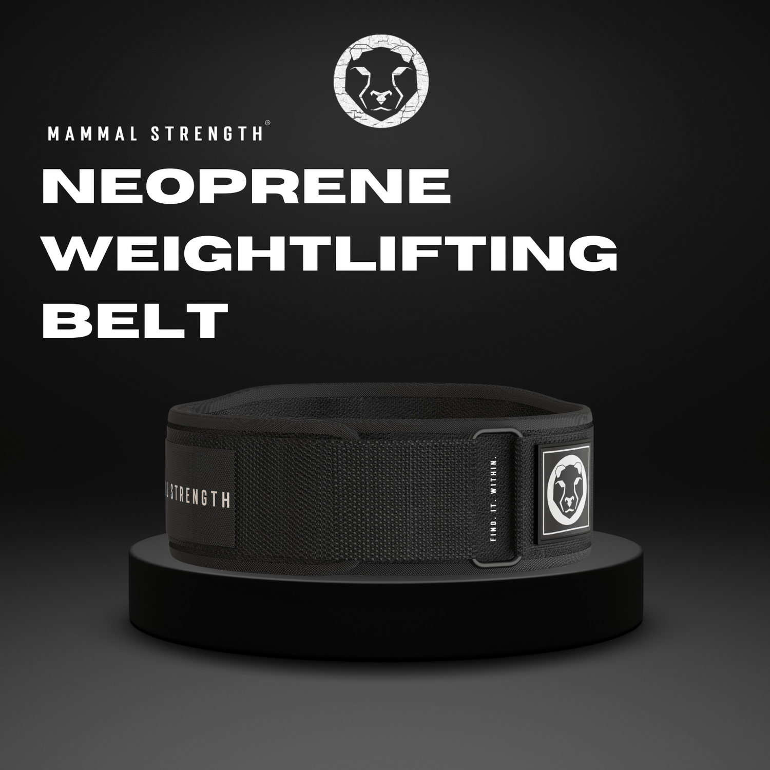 Mammal Strength "5 Neoprene Weightlifting Belt - Mammal Strength