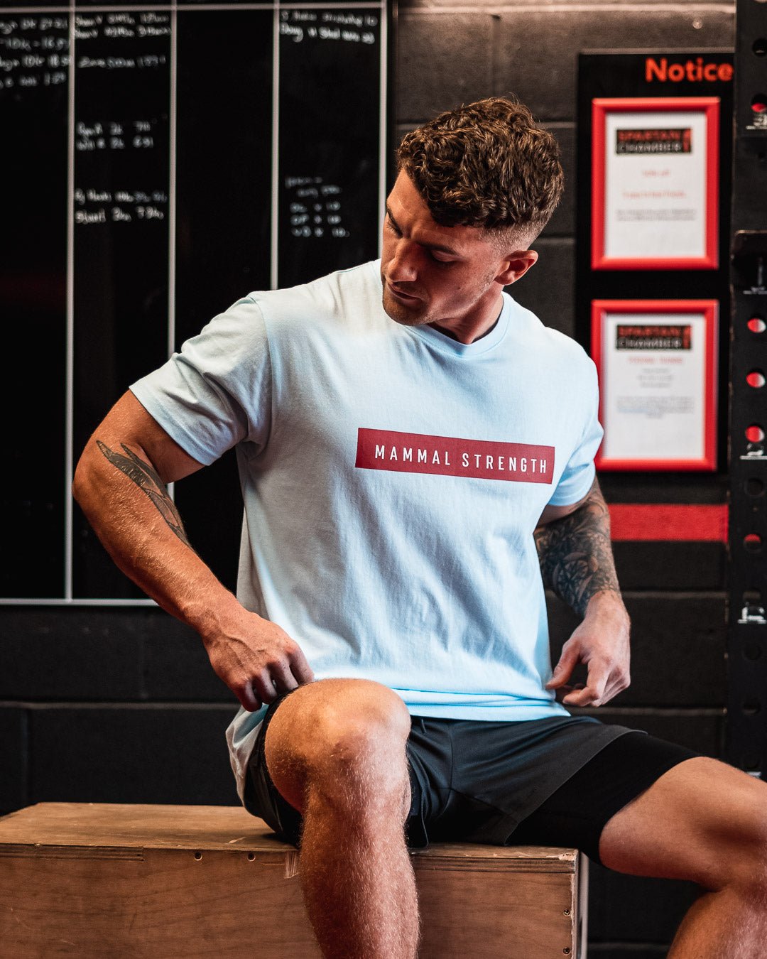 Mammal Strength Blue Block Print Tee - Mammal Strength