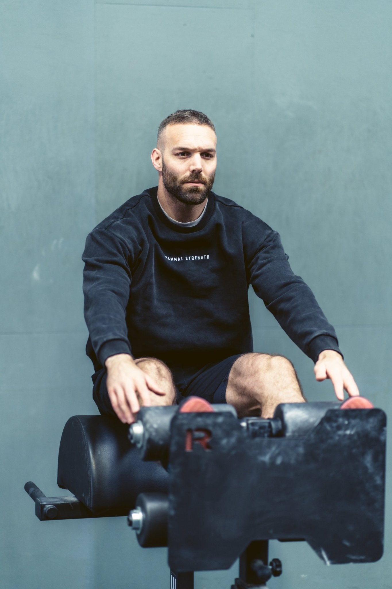 Mammal Strength Sweatshirt - Mammal Strength